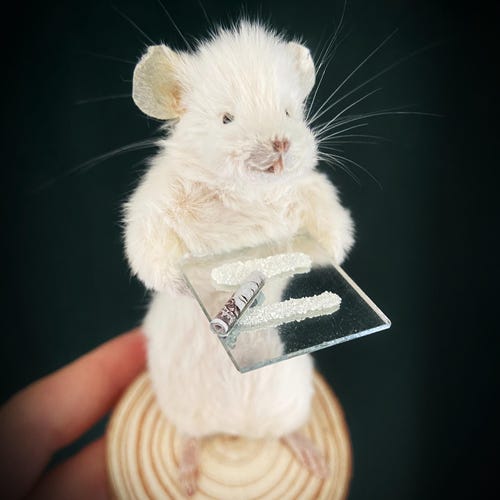 FÊTE SUR WAYNE ! Cadeau de bizarreries inhabituelles drôle anthropomorphe de souris de taxidermie