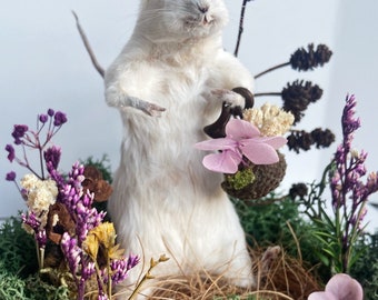 READY TO GO Taxidermy beautiful flower garden Mouse