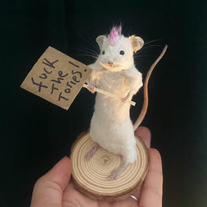 Taxidermy punk mouse funny gift left wing political image 2