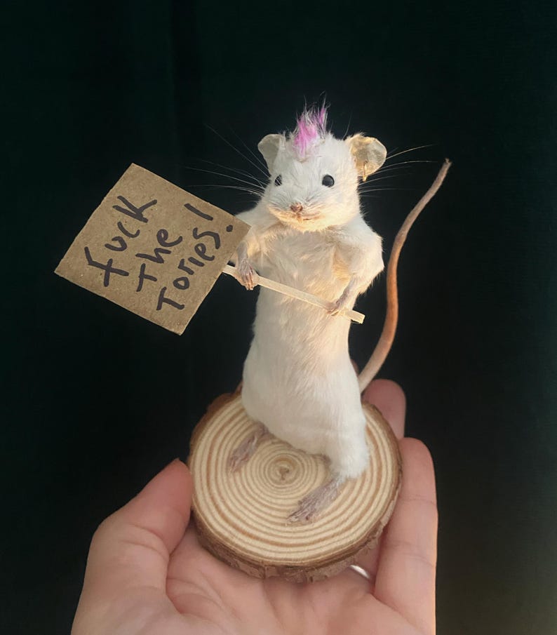 Taxidermy punk mouse funny gift left wing political image 2