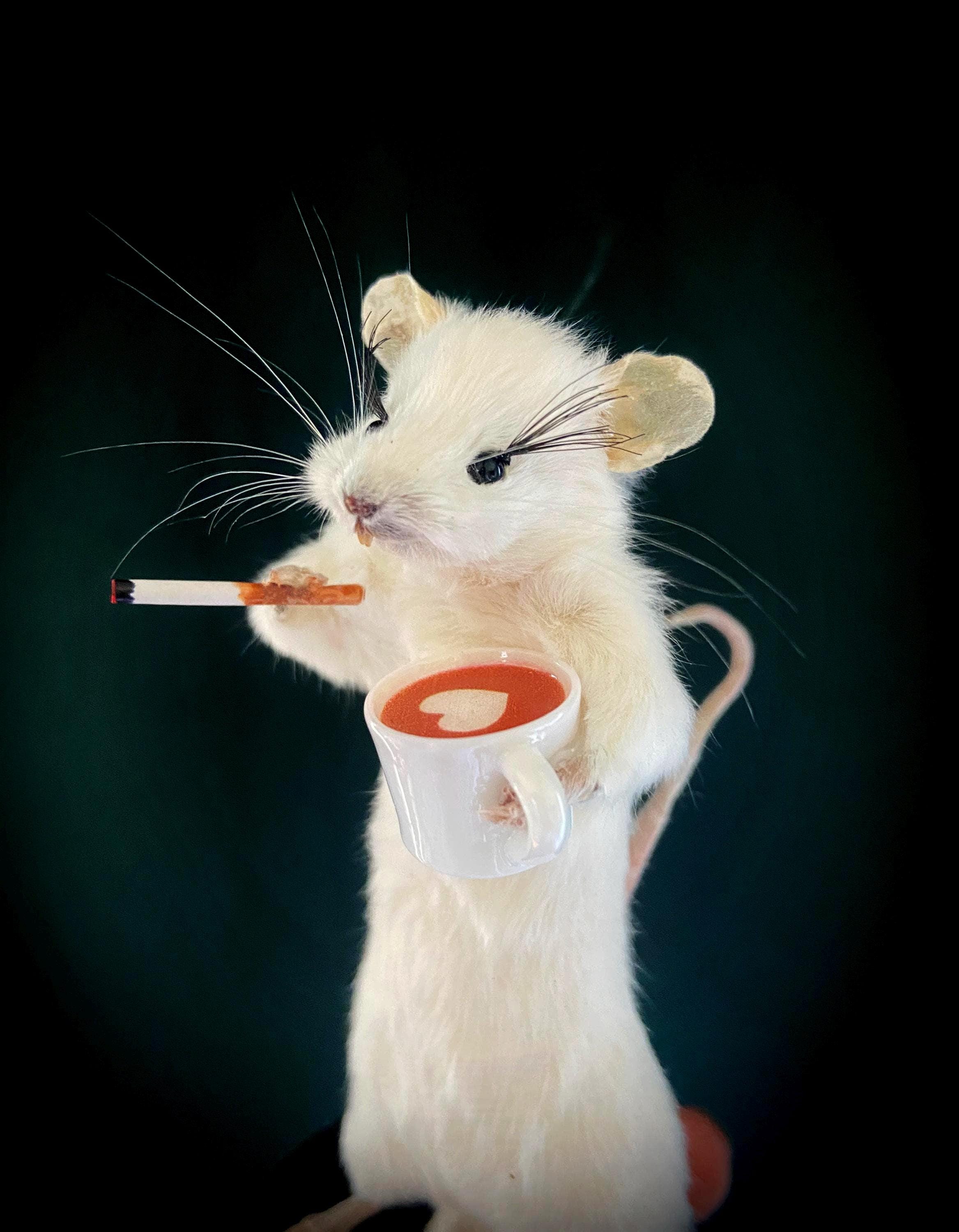 mouse smoking a cigarette Taxidermy drinking gift for coffee lover Rat smoking a cigarette :