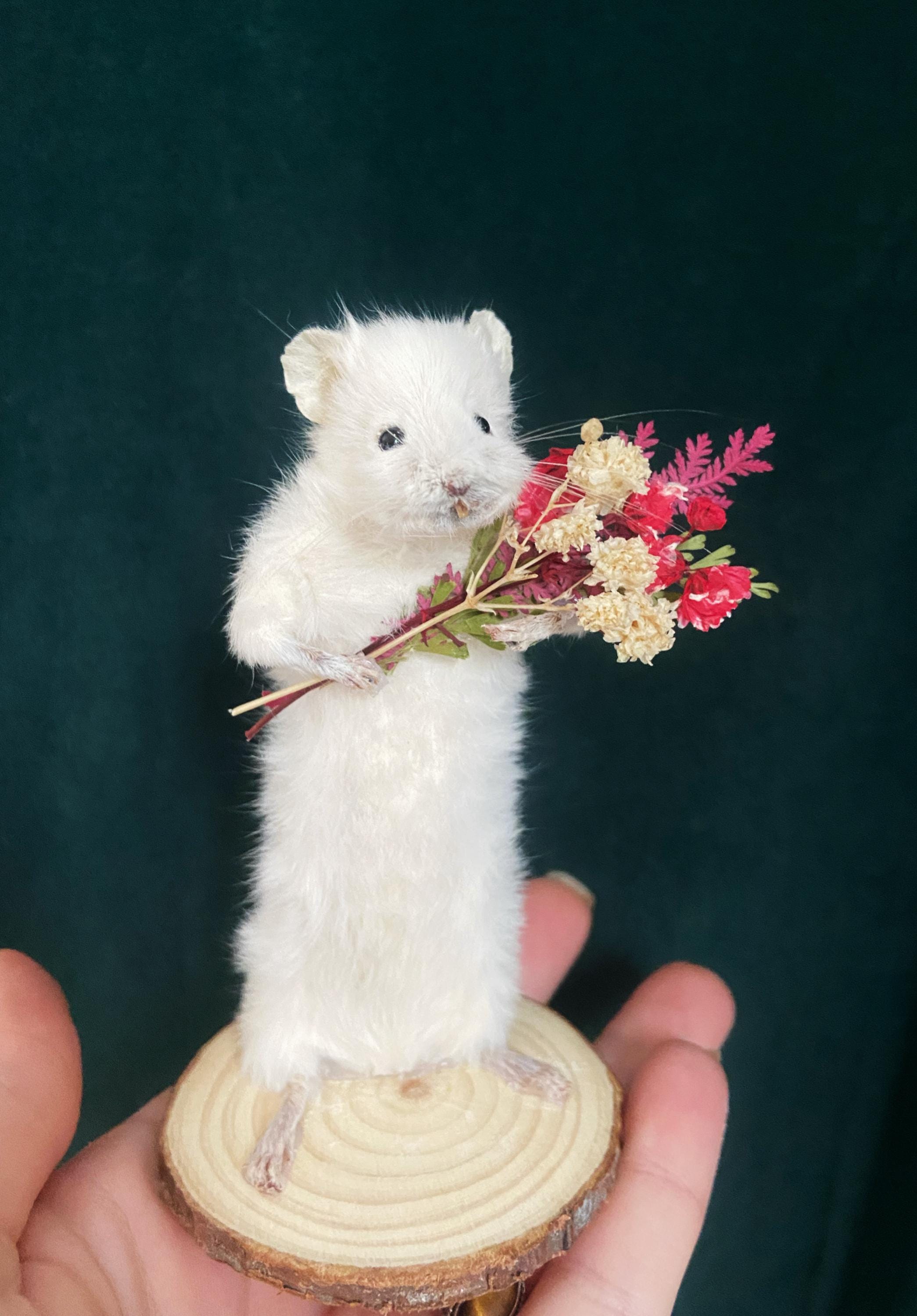 置物 USmadehorsestatue Taxidermy Hamster - Etsy Singapore