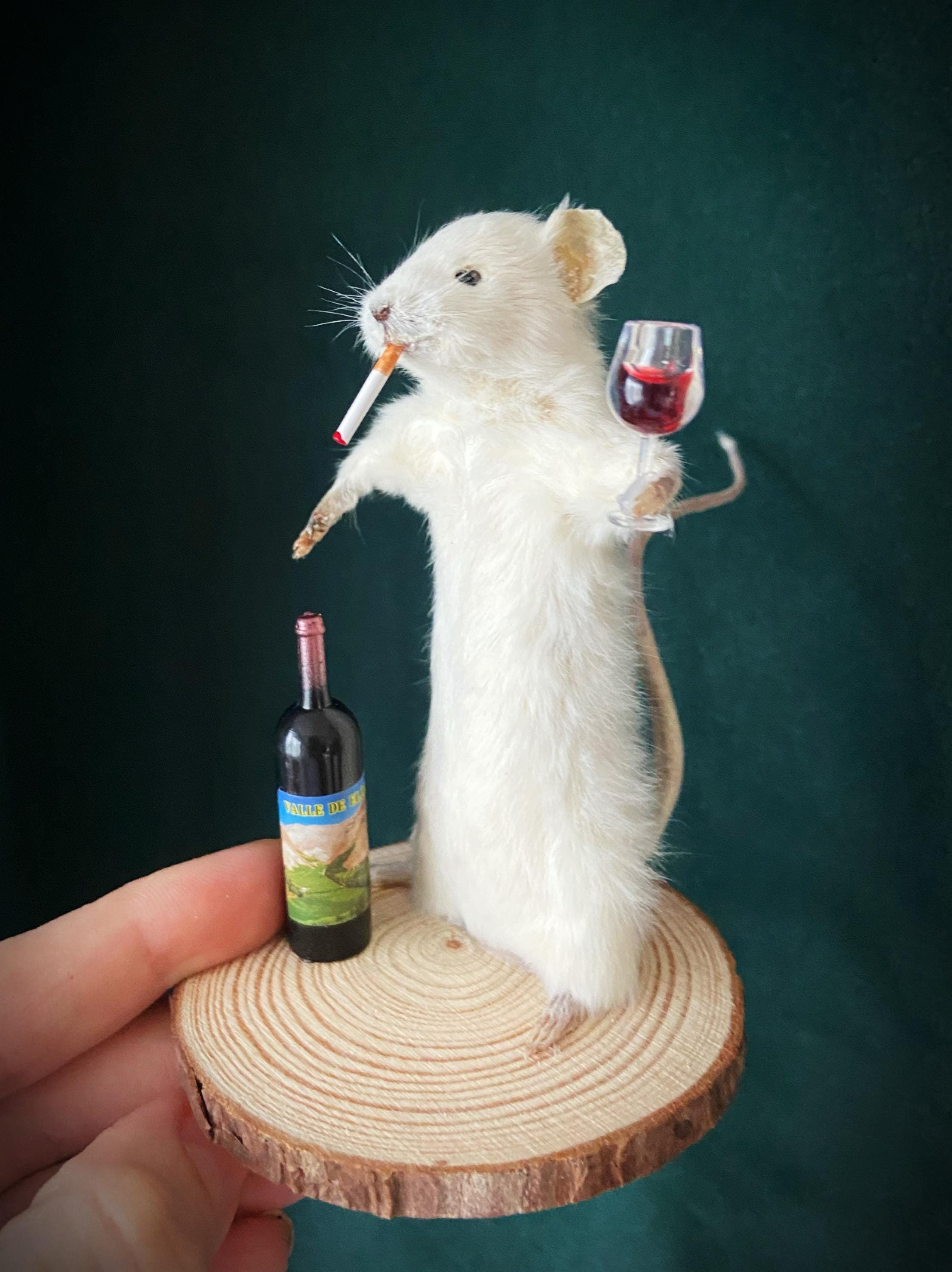［剥製］ハツカネズミ　ガラス容器入り ワイン愛好家のネズミの剥製、珍しい贈り物 - Etsy 日本