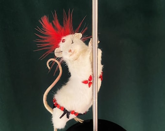 剥製のポールダンスストリッパーのネズミ - Etsy 日本
