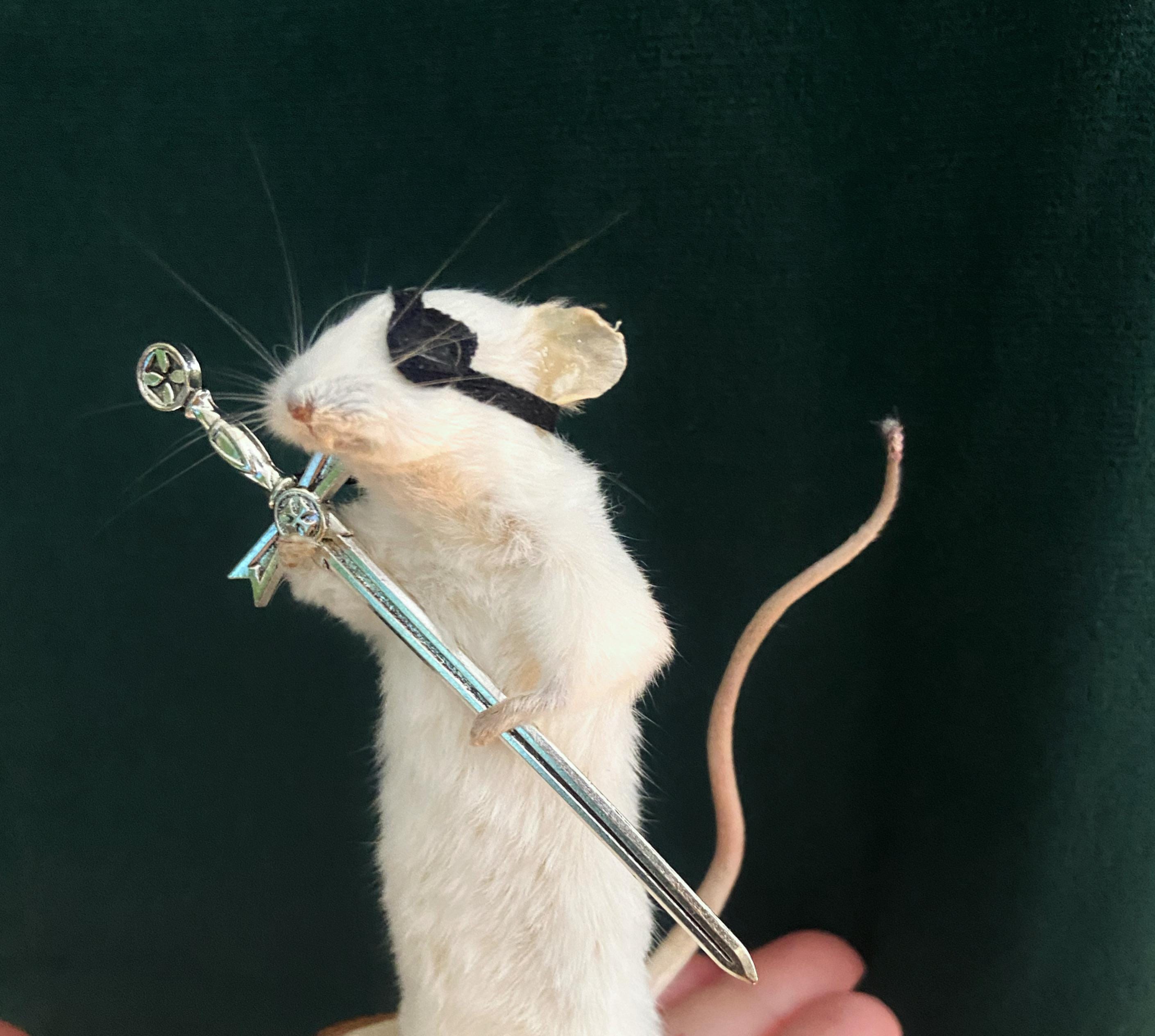剥製 海賊 ネズミ 珍品 好奇心 - Etsy 日本
