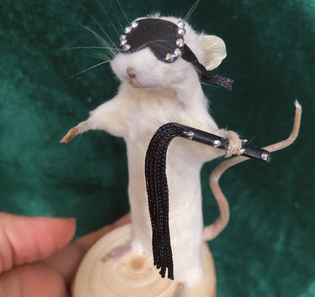 Taxidermy BDSM Mouse Whip Mask Naughty Oddities - Etsy