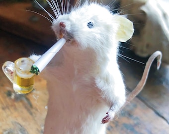 Taxidermy made to order stoner drunk mouse beer funny gift session mascot