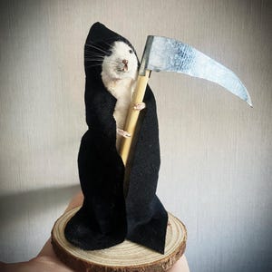Tassidermia, ratto, topo, mietitore, gotico, regalo spettrale