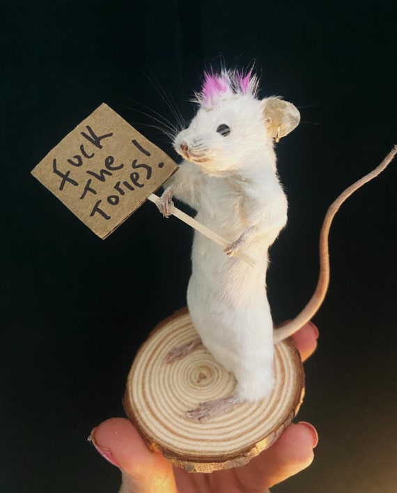Taxidermy punk mouse funny gift left wing political