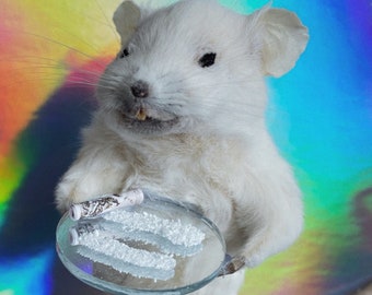 Taxidermy party hard mouse made to order