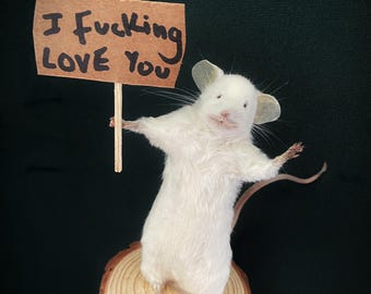 I LOVE you taxidermy mouse unusual gift for her him Home girlfriend boyfriend husband wife