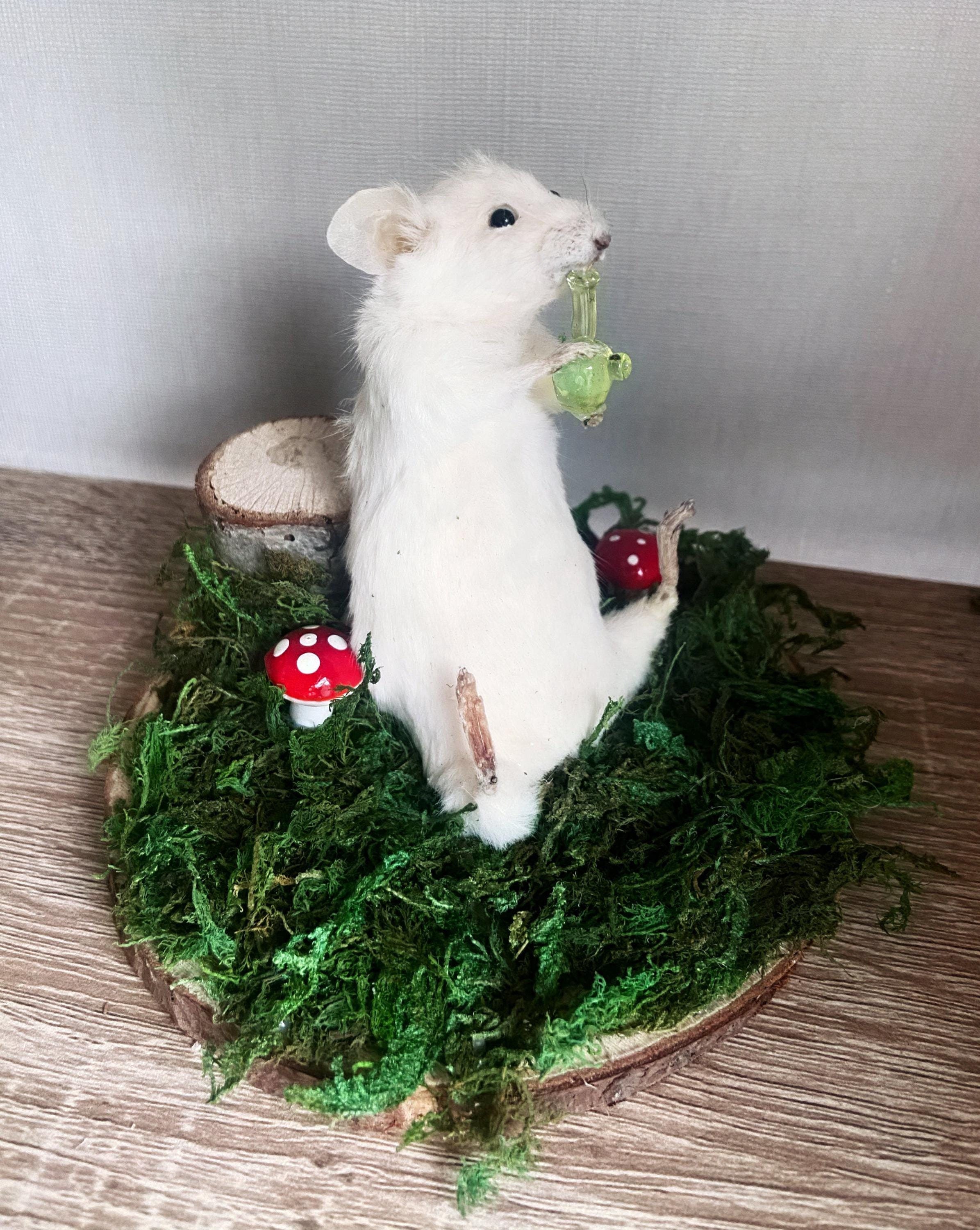 Handmade Taxidermy Mouse With Bow – Miniature Animal Art, 4” Tall, Made In USA