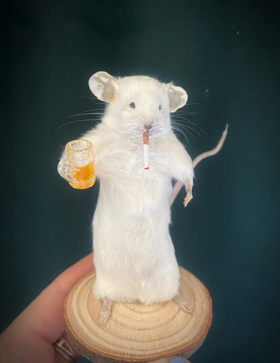 剥製、喫煙、ビールを飲む、酔っ払ったネズミ、彼への面白い贈り物