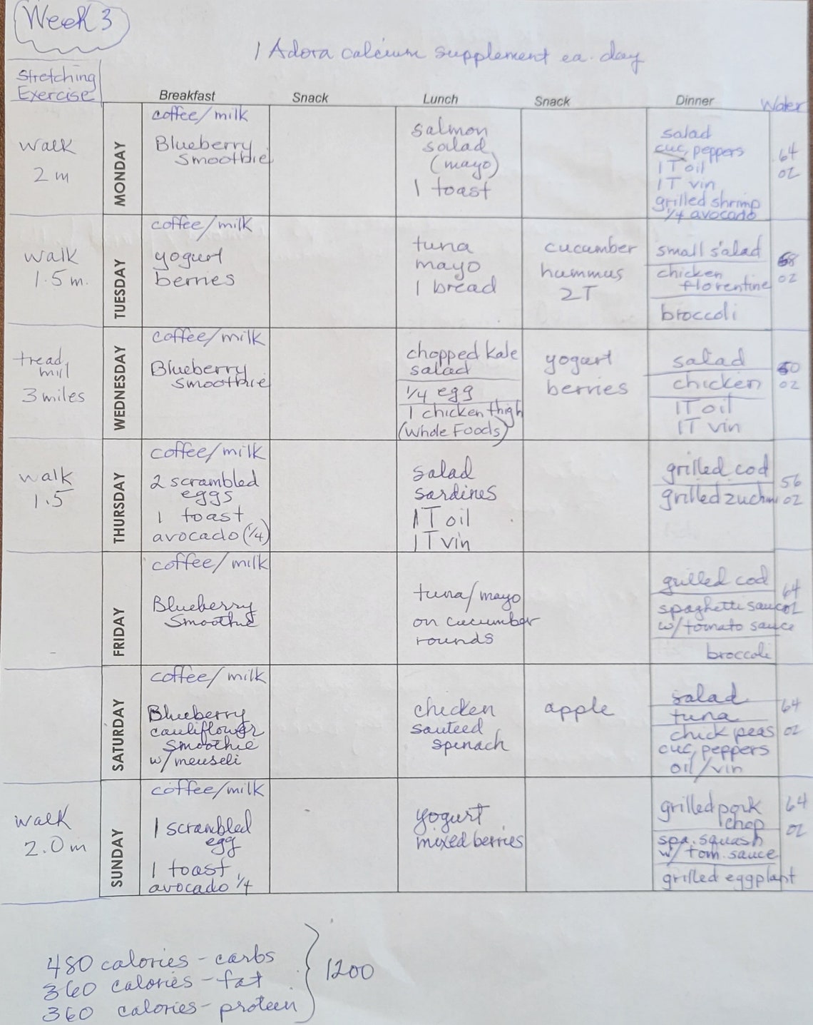Simple 7 Day Food Log - Etsy