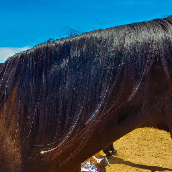 Horse Hair Extension Etsy