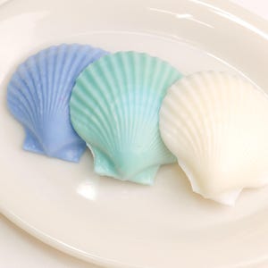 May include: Three seashell-shaped soaps in pastel colors: light blue, seafoam green, and white. The soaps are arranged on a white, oval-shaped plate. The soaps have detailed, ridged textures.