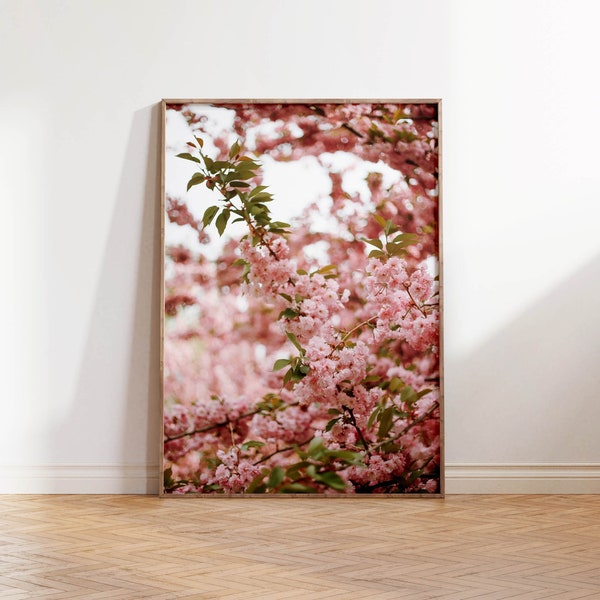 Springtime Cherry Blossoms in Central Park NYC - Printable Wall Art Digital Download