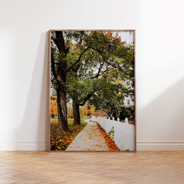 Colorful Autumn Leaves on New England Main Street Download | Connecticut Fall Photography | Printable Wall Art | Instant Download