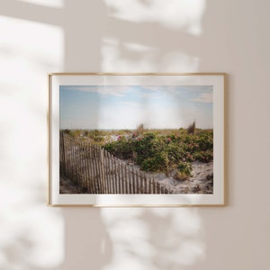 Beach Dunes With Grass and Flowers Digital Download | Beach Photography | Beach House Decor | Printable Wall Art | Instant Download