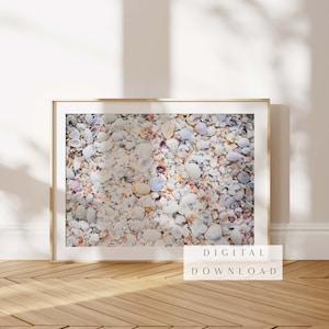 Sanibel Island Colorful Shells Digital Download | Florida Beach Photography | Printable Wall Art | Instant Download | Digital Wall Art Print