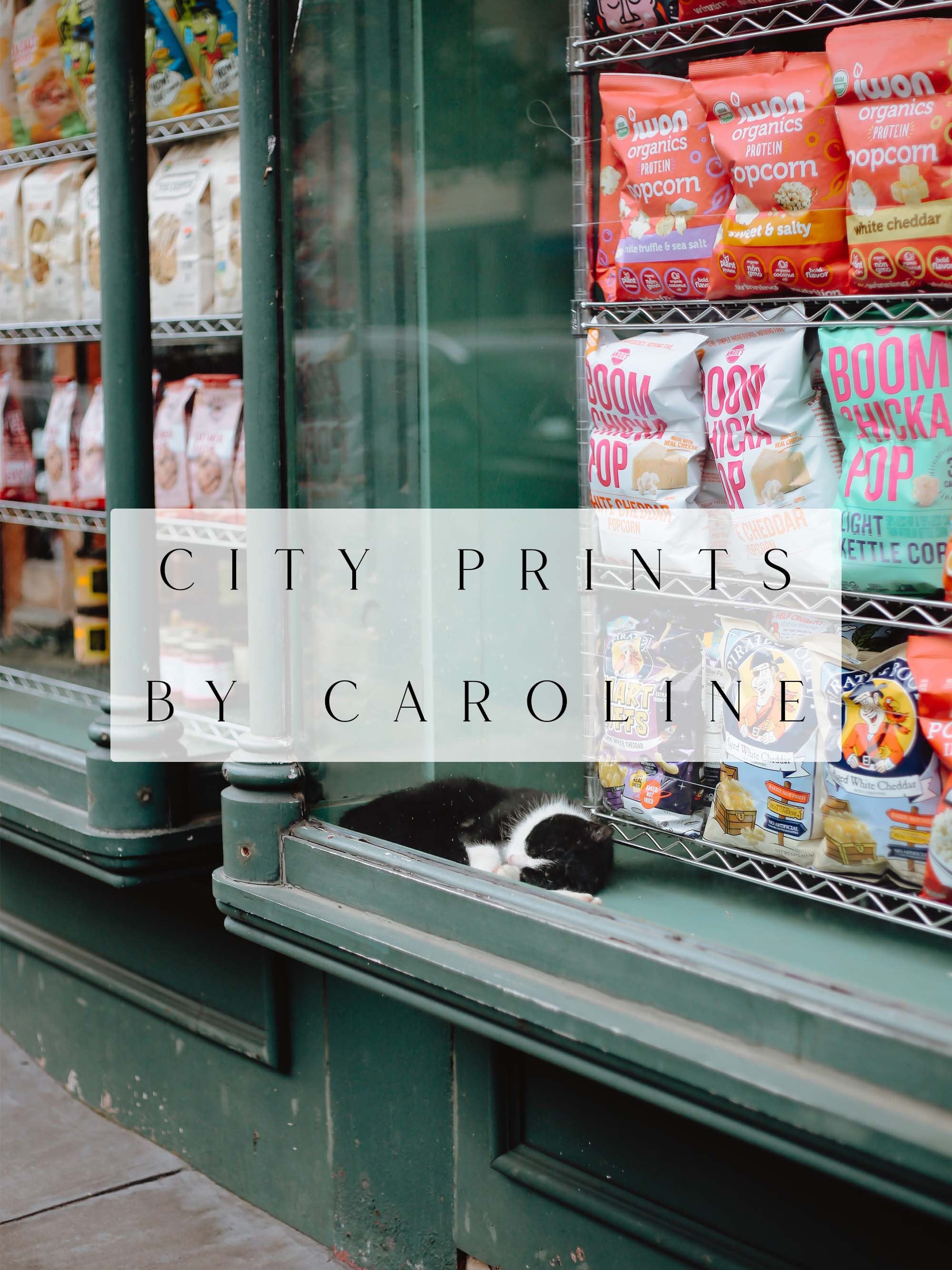 Bodega Cat in Brooklyn Store Window Digital Download | New York City ...