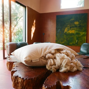 May include: A rectangular off-white pillow with a partially open zipper revealing a thick, fluffy, cream-colored wool filling. A small fabric tag with the text Circadian is attached to the side of the pillow, which rests on a wooden surface.
