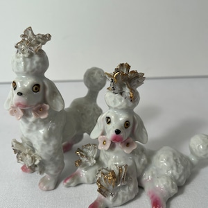 White Poodles