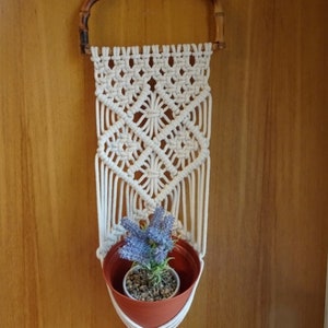 Puede incluir: Un macetero de macramé blanco con un asa de bambú. El macetero sostiene una pequeña maceta de terracota con una flor morada y una planta verde.