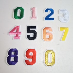 May include: Ten iron-on patches with numbers 0 through 9. The patches are white with a white outline and are in different colours: green, pink, blue, white, pink, black, orange, yellow, purple, and red.