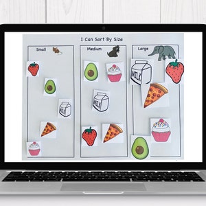 DIGITAL DOWNLOAD Sorting Bundle Sorting Shapes Sorting Colors Sort by Size Sort by Type