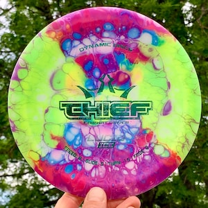 Dynamic Discs Theif