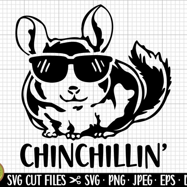 chinchilla svg chinchilla png chinchilla mom svg chinchilla lover svg