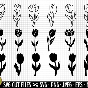 Bundle svg tulipe à usage commercial fleur svg silhouette vecteur clipart