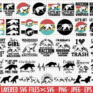 Lot de png svg raton laveur cricut