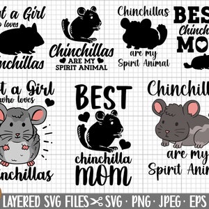 chinchilla svg cricut shirt commercial use chinchilla svg png chinchilla lover owner gift svg png eps dxf jpeg jpg cut file