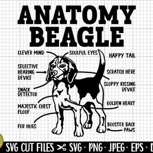 beagle svg png cricut