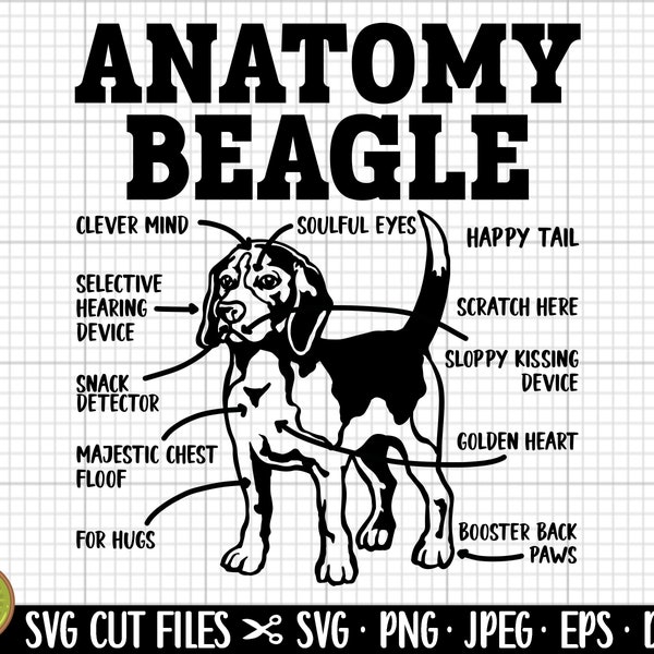 beagle svg png cricut