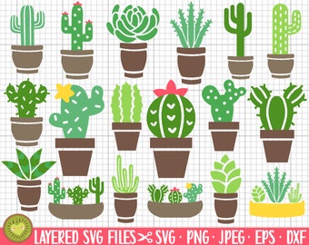 cactus svg bundle cricut cut file cactus png bundle cacti svgs layered cut files succulent svg png eps dxf clipart vector bundle