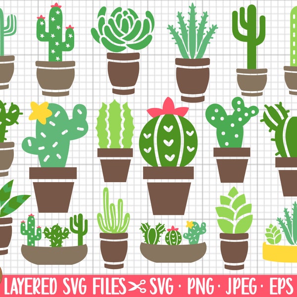 cactus svg bundle cricut cut file cactus png bundle cacti svgs layered cut files succulent svg png eps dxf clipart vector bundle