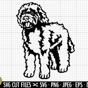 labradoodle svg png labradoodle silhouette clipart commercial use