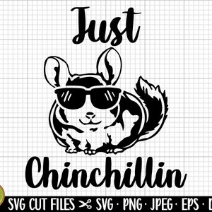 chinchilla svg chinchilla png chinchilla mom svg