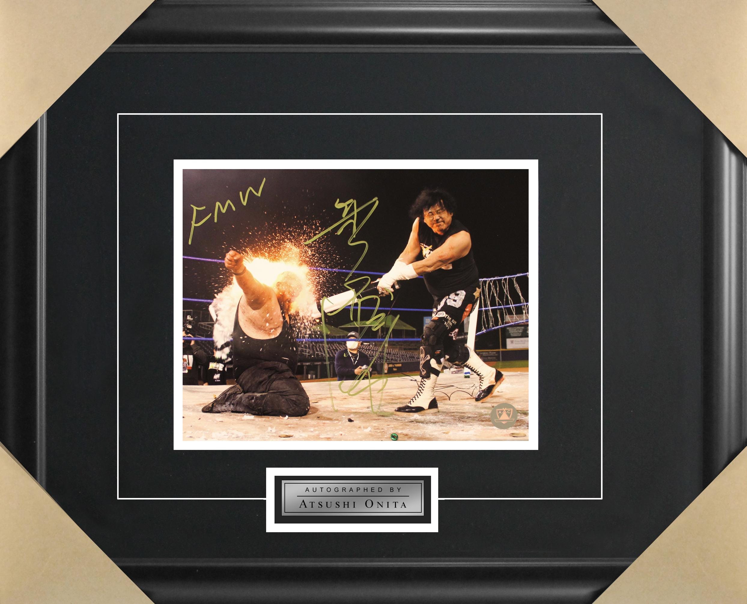Fmw Wrestling - Etsy