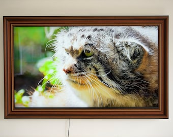 Custom TV Frame, Compatible for Samsung LG Decorative Frame, Samsung Frame Tv Bezel, Handmade Tv Frame, Brown Walnut Tv Frame