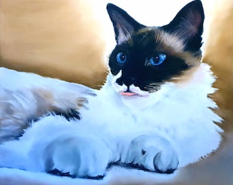 May include: A white and black cat with blue eyes lies on a light brown surface. The cat has a white patch on its chest and a white muzzle.