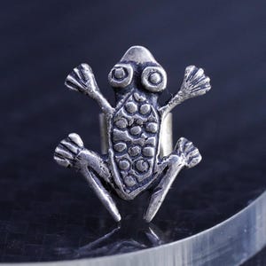 Pode incluir: Um anel de tom prateado com um design de sapo estilizado na parte frontal. O sapo apresenta um dorso texturizado com padrões circulares, olhos proeminentes e membros estendidos. O metal tem um acabamento escuro e oxidado nas reentrâncias.
