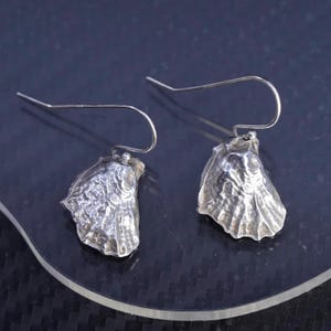 May include: A pair of silver-toned earrings. Each earring features a textured, shell-like design suspended from a curved ear wire. The earrings are displayed against a dark background, highlighting their metallic sheen.