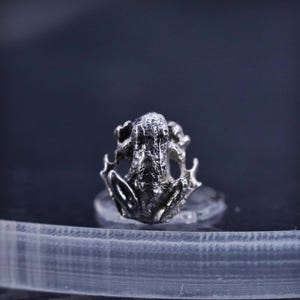 Pode incluir: Um anel de prata com a forma de um sapo com um design detalhado. O sapo está sentado em um galho com as pernas esticadas.