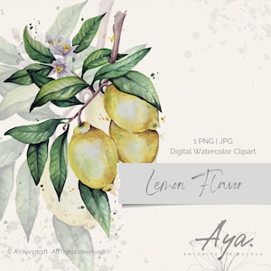 Watercolor Lemon Clipart: Lemon Twig & Flowers (PNG, JPG, PDF)