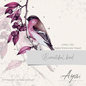 Aquarell Blumen Clipart zart Vogel Sublimation Clipart Datei Png Jpg Pdf, Hochzeit, Herbst Motiv Botanische Kunst Sanfte Farben Design rose Vogel