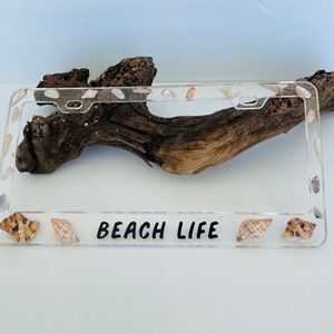 Beach Life, Beachy Car Accessory, Shell License Plate Frame, Resin License Plate Frame, Sanibel Island Shells, Shell License Plate Cover